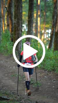 BIB:  <button type="button" onclick="openModal(27293532)" class="btn btn-primary btn-sm float-right" data-toggle="modal" data-target=".modal-high-quality">
                <i class="fa fa-download"></i> Download
                </button>